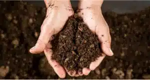 Soil affects human health