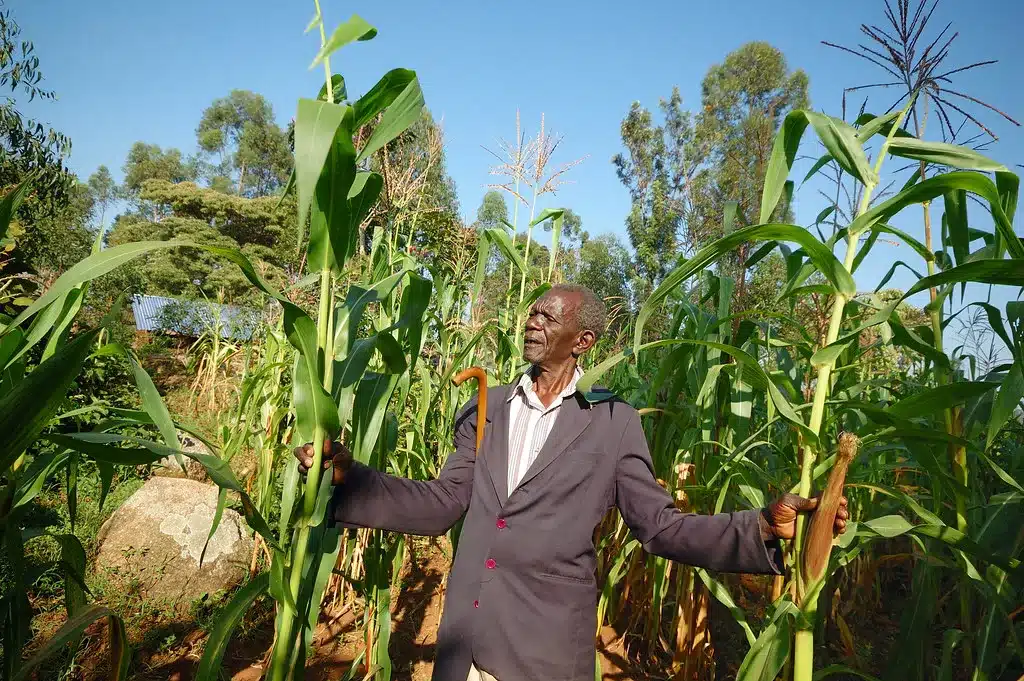 Subsistence Farmer