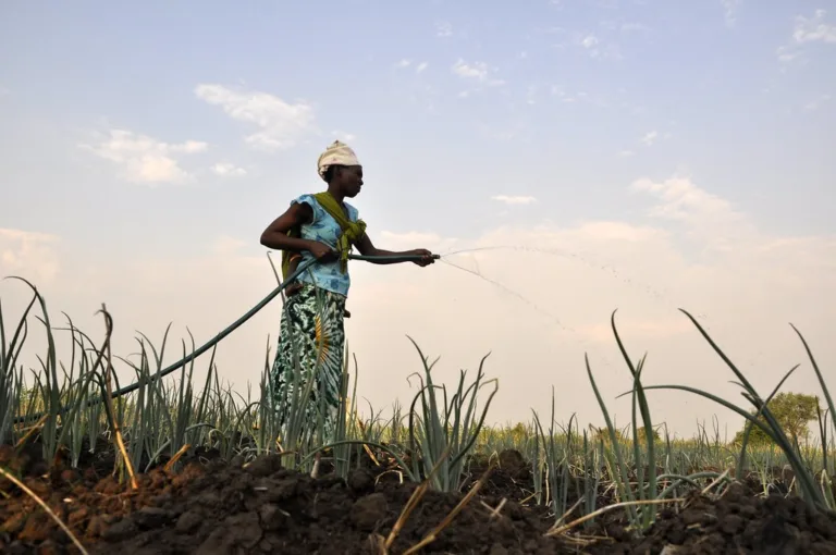 Subsistence Farming