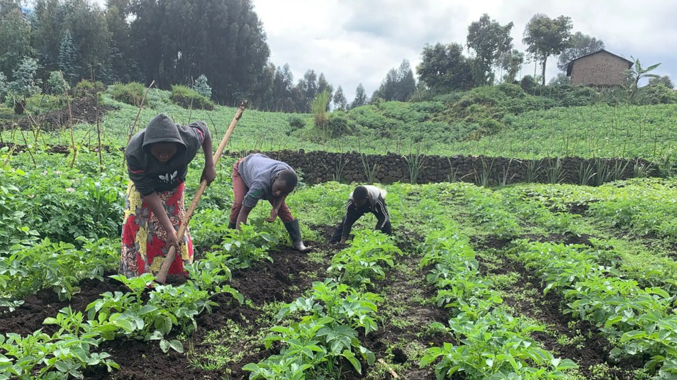 Subsistence Farming in Africa