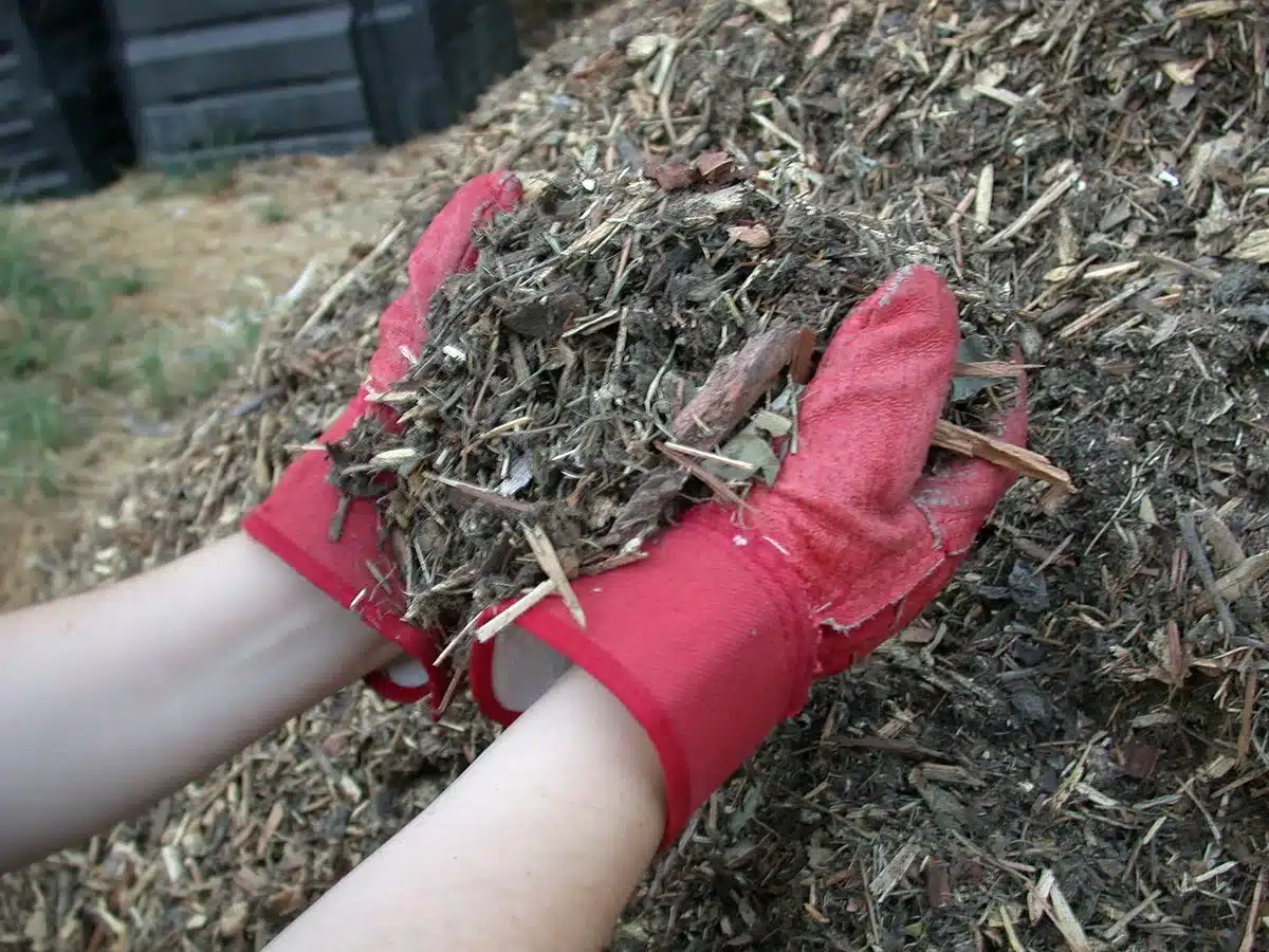 Mulch in agriculture
