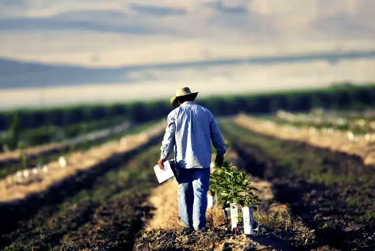 the regenerative farmer