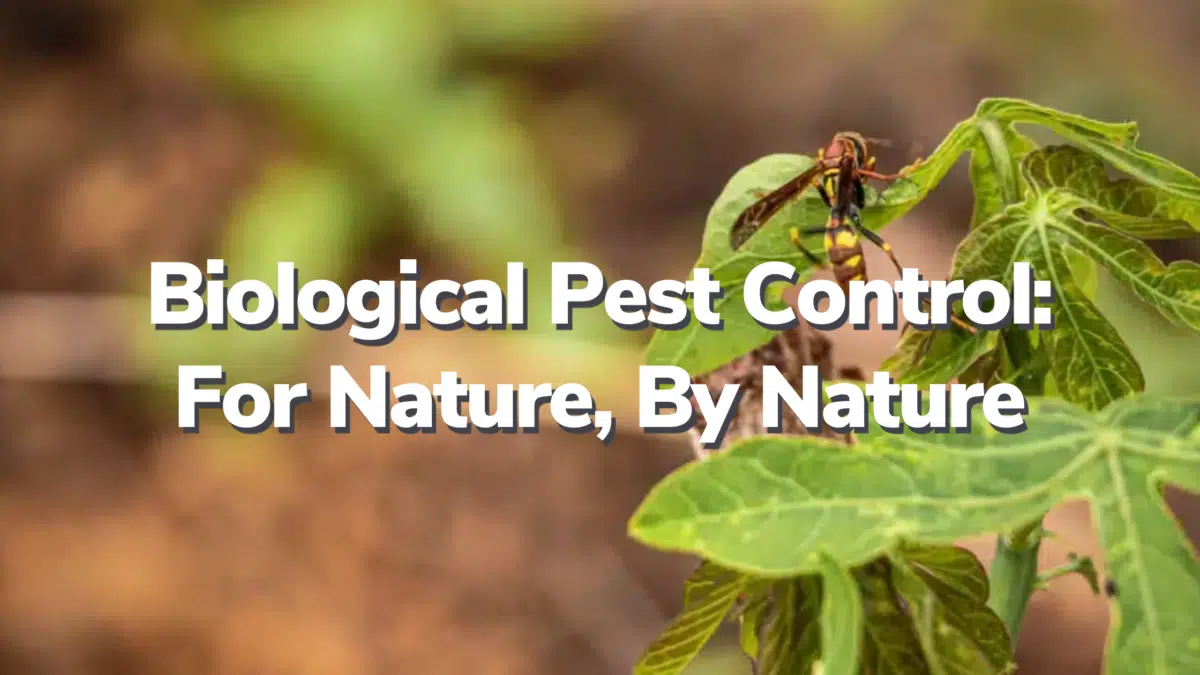 Biological Pest Control