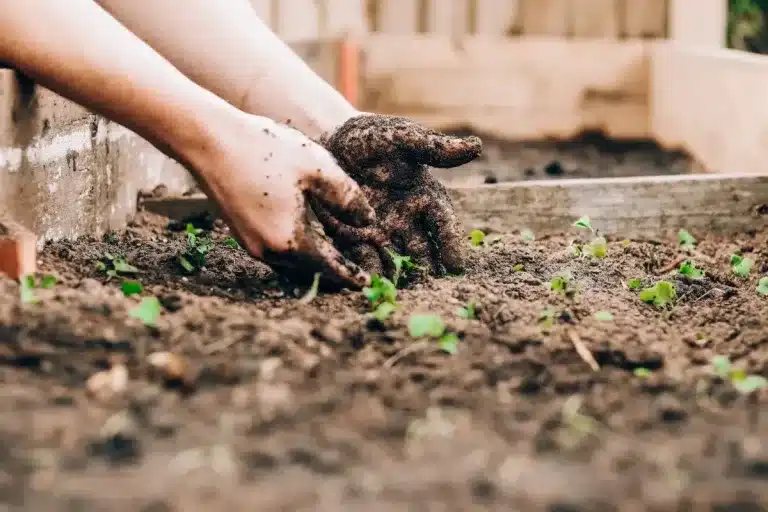 Sustainable Farming