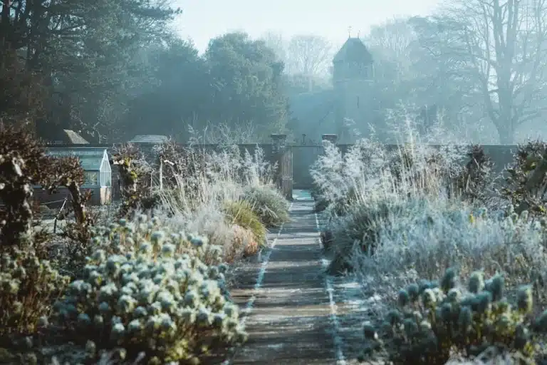 winter graden image