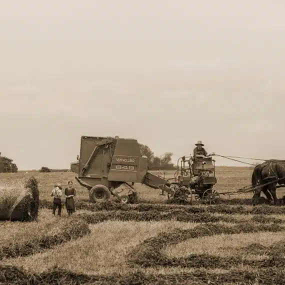 old farming tractor