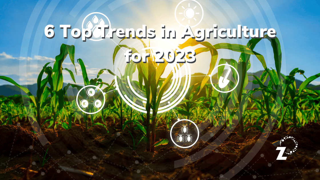 Featured image for “6 Top Trends in Agriculture for 2023”