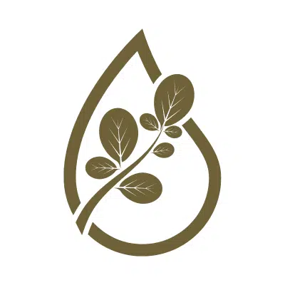 moringa