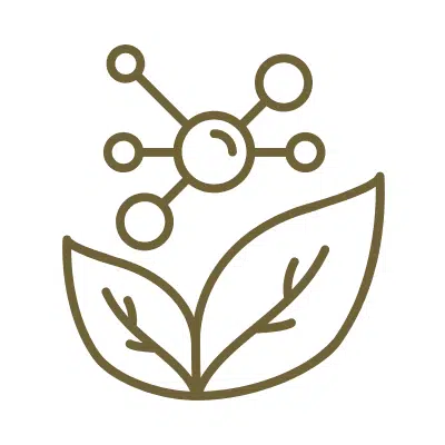 crop genome