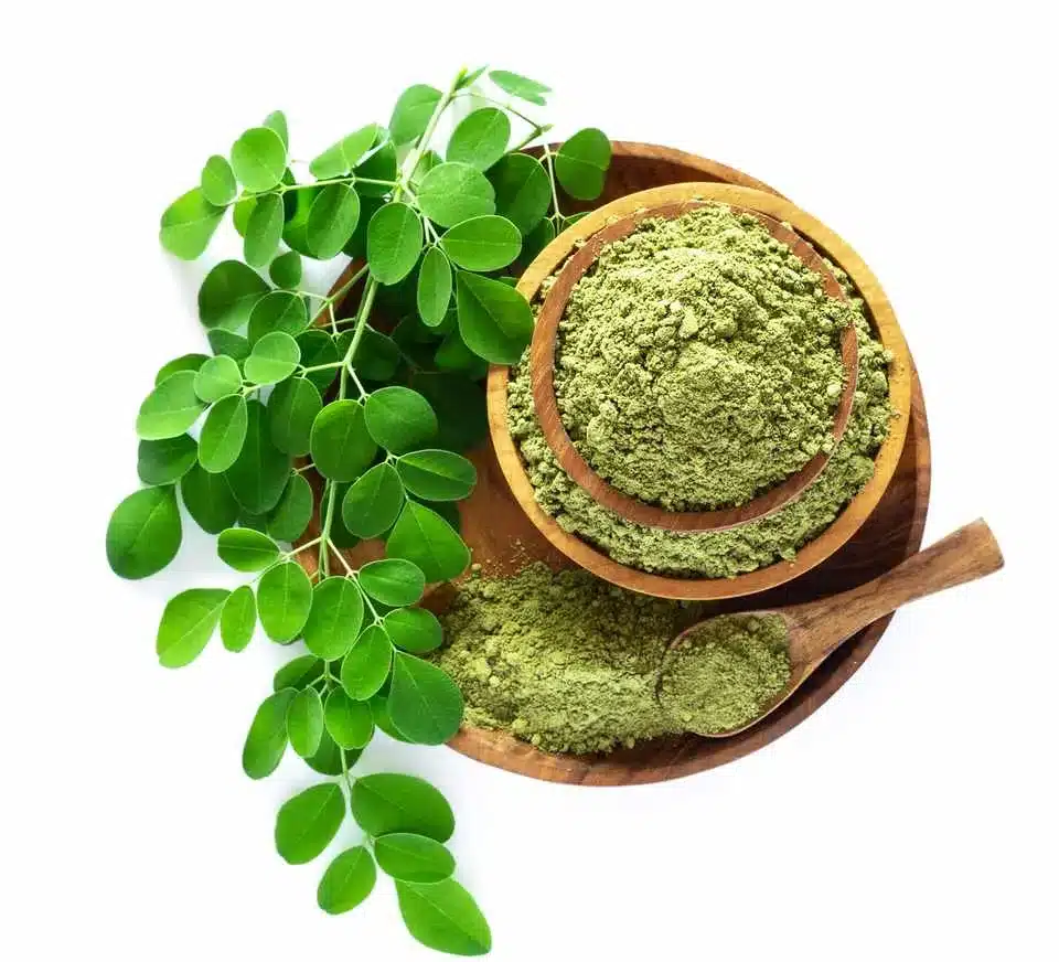 The Benefits of Moringa in Farming - Zylem