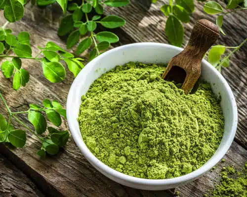 nutritional supplement moringa powder