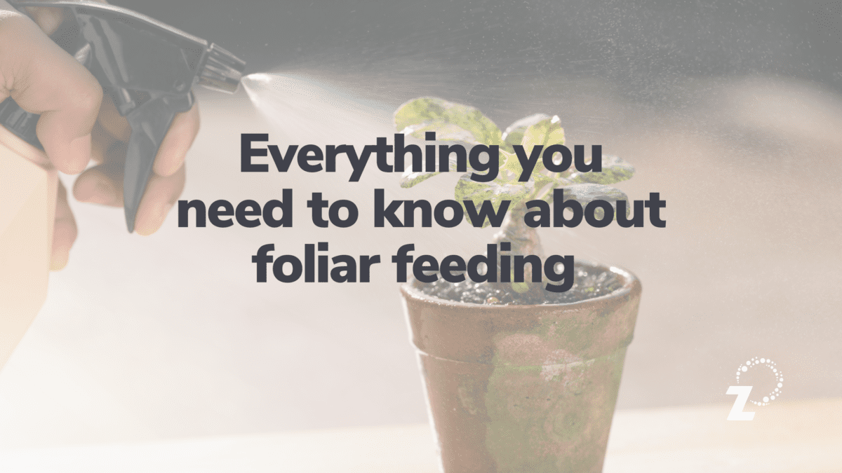Blog Header: Foliar Feeding