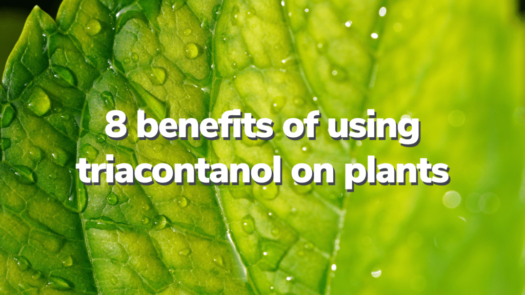 Featured image for “8 benefits of using triacontanol on plants”