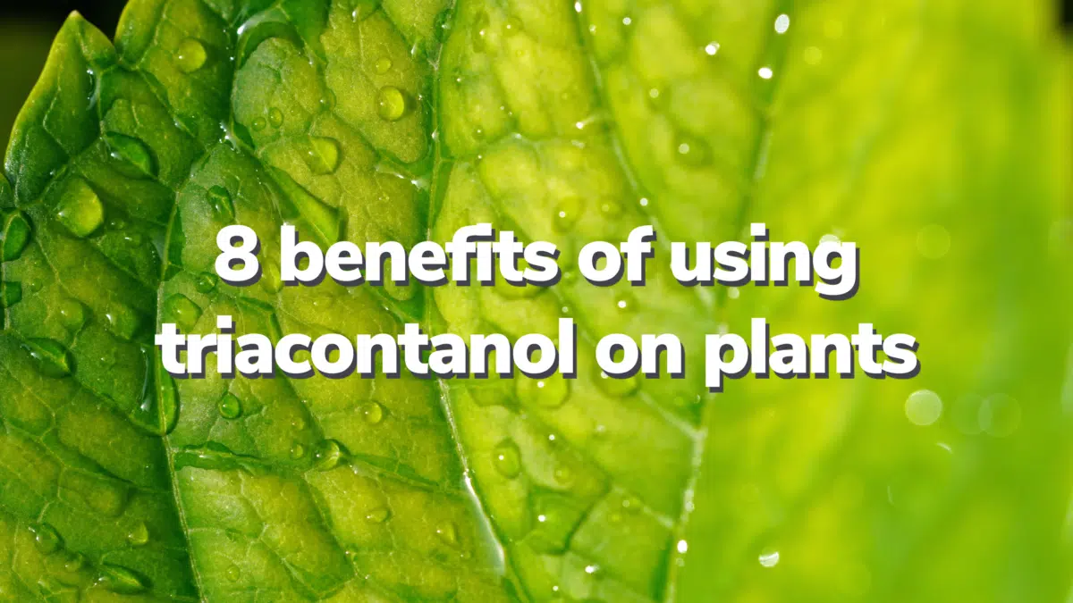 How To Use Triacontanol On Plants - Zylem