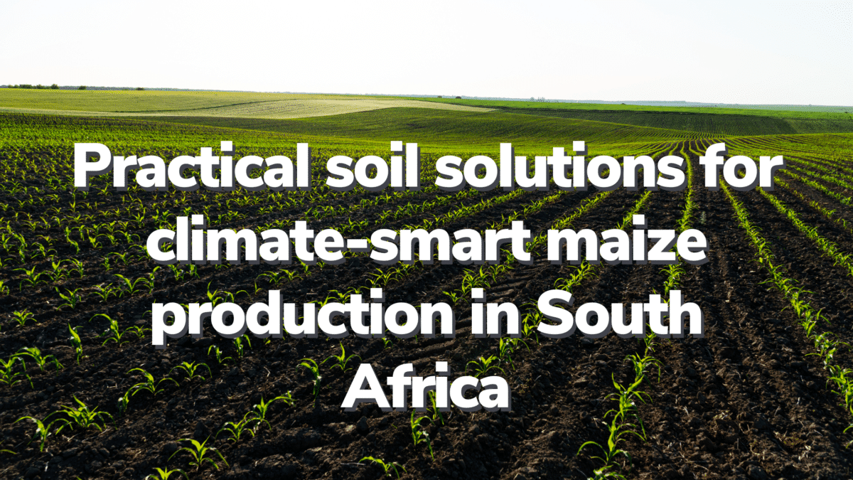 Climate-smart maize production in South Africa