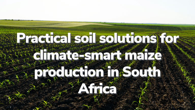 Climate-smart maize production in South Africa