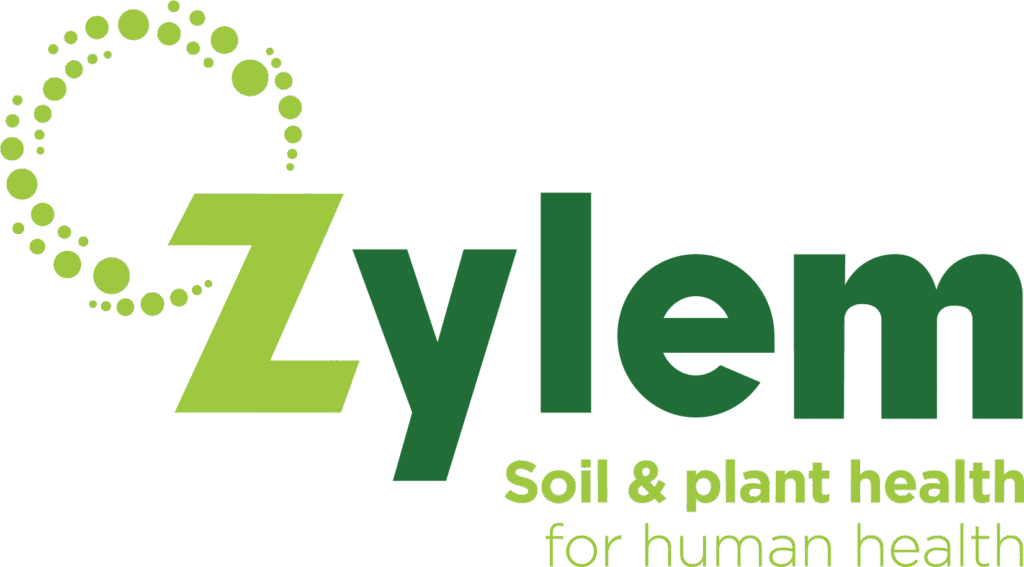 zylem logo