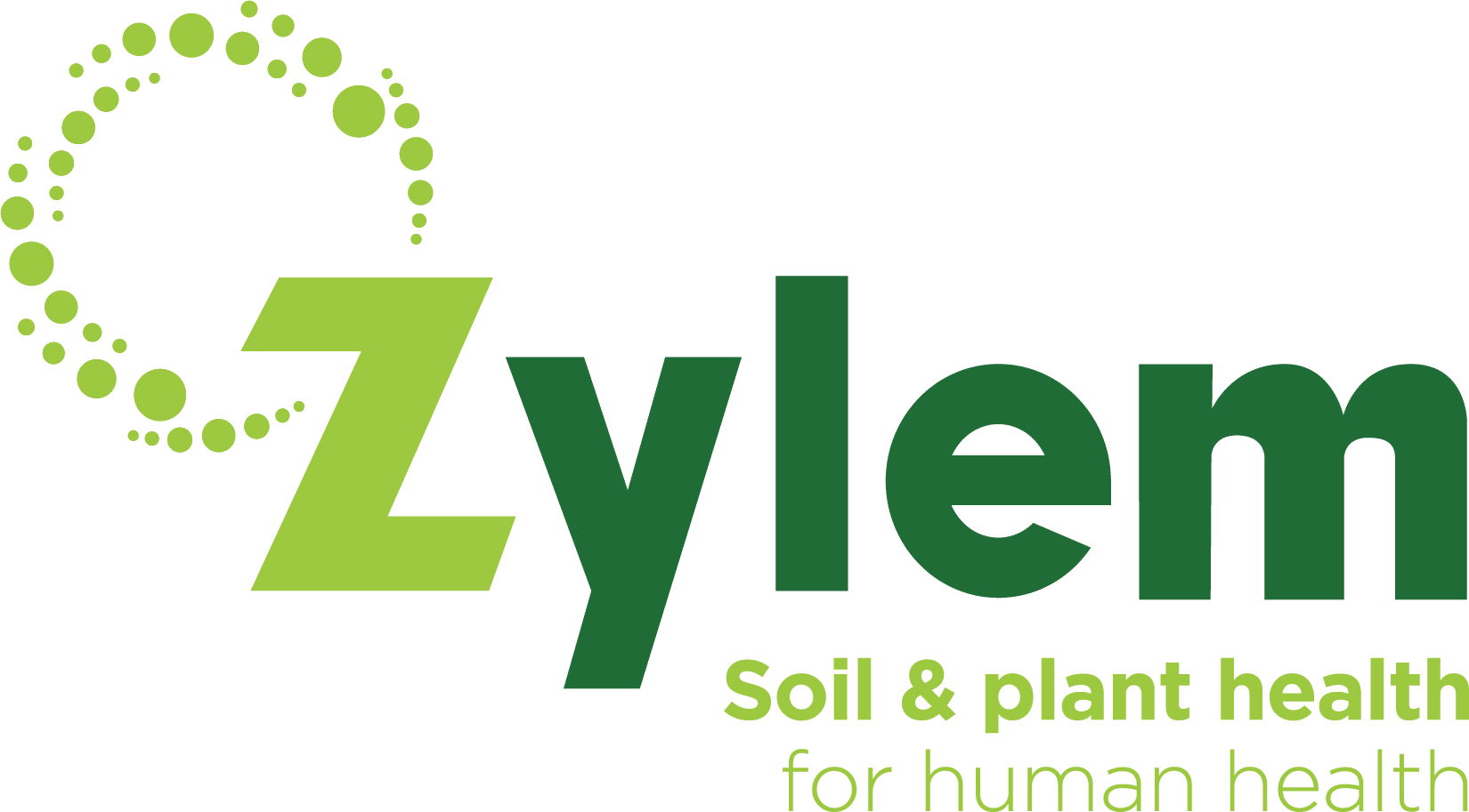 zylem logo