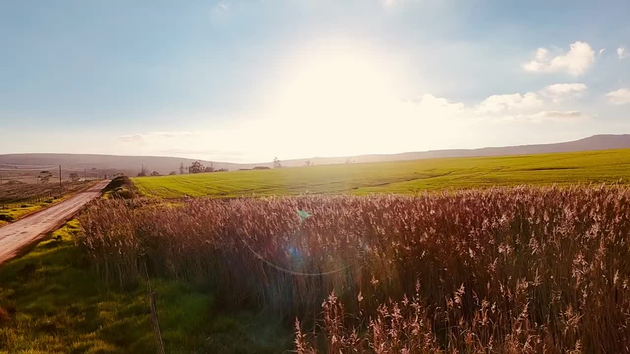 Green farmland in South Africa at first light